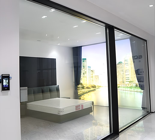 Panoramic Door